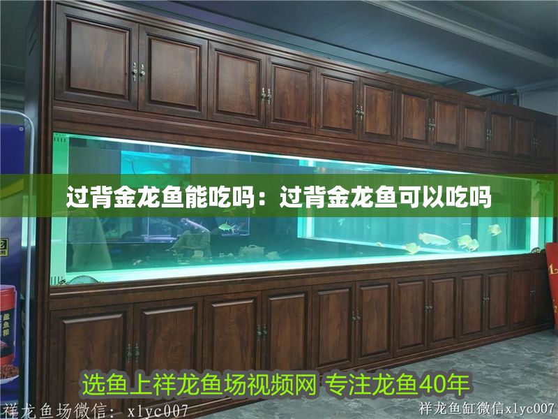 過背金龍魚能吃嗎：過背金龍魚可以吃嗎