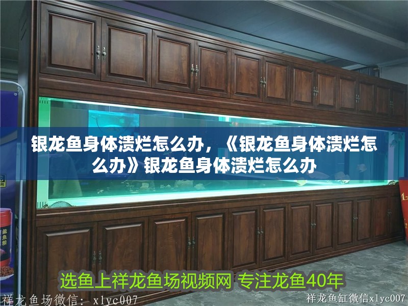 銀龍魚身體潰爛怎么辦，《銀龍魚身體潰爛怎么辦》銀龍魚身體潰爛怎么辦