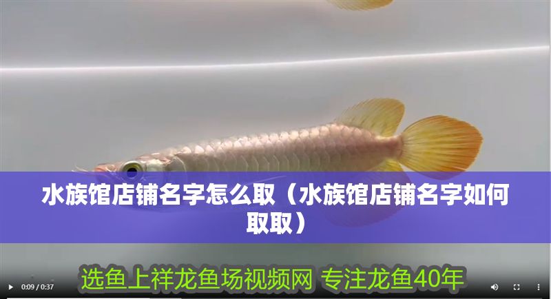 水族館店鋪名字怎么取（水族館店鋪名字如何取取）