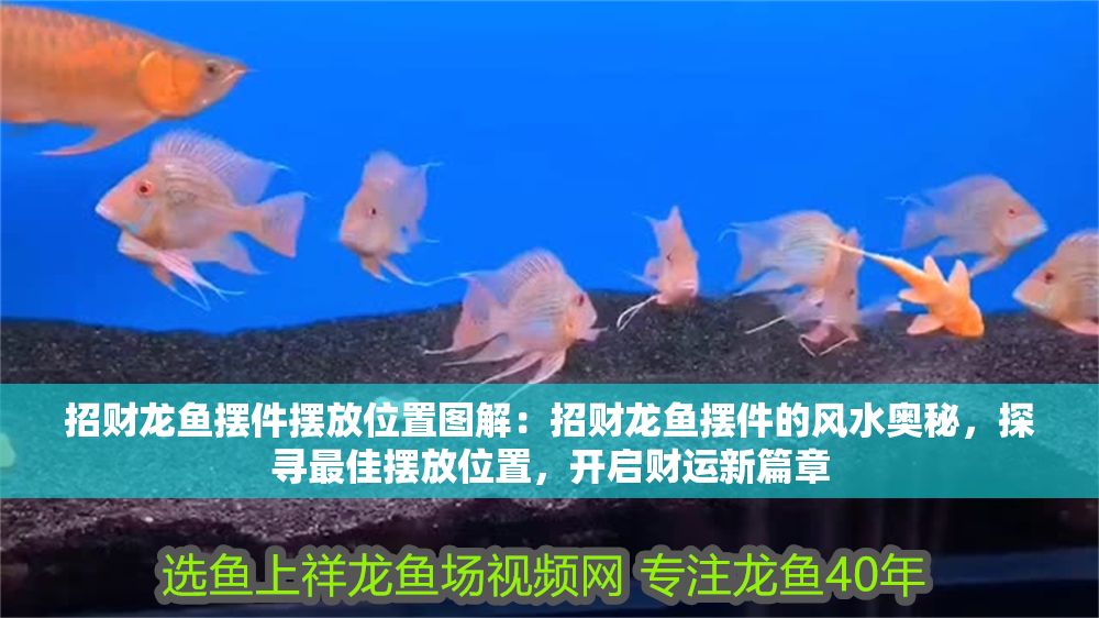 招財龍魚擺件擺放位置圖解：招財龍魚擺件的風水奧秘，探尋最佳擺放位置，開啟財運新篇章
