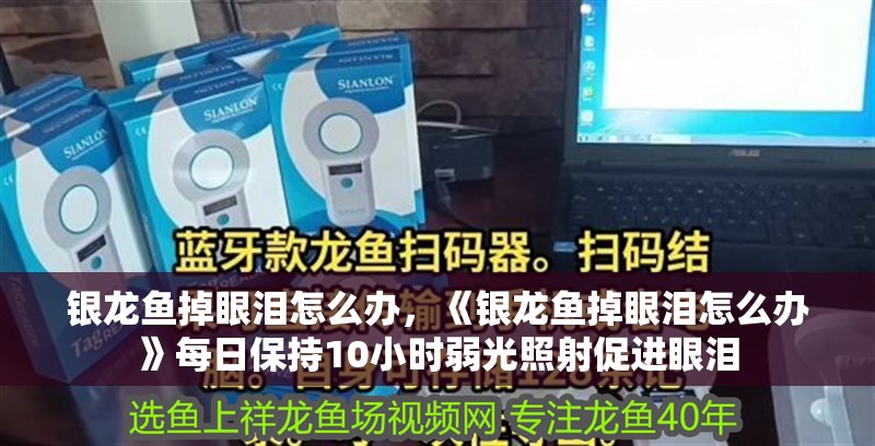 銀龍魚掉眼淚怎么辦，《銀龍魚掉眼淚怎么辦》每日保持10小時弱光照射促進眼淚