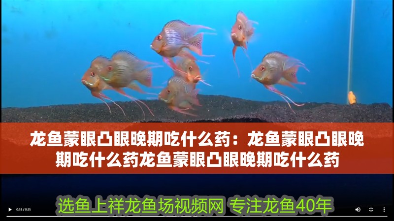 龍魚蒙眼凸眼晚期吃什么藥：龍魚蒙眼凸眼晚期吃什么藥龍魚蒙眼凸眼晚期吃什么藥