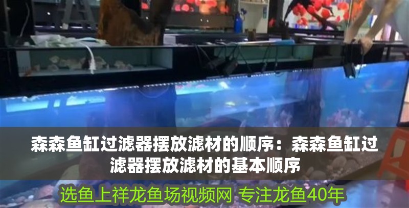 森森魚缸過濾器擺放濾材的順序：森森魚缸過濾器擺放濾材的基本順序