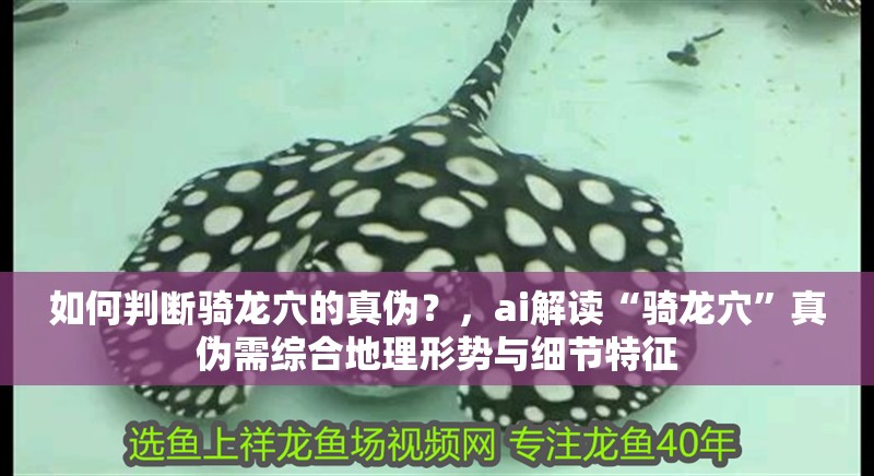 如何判斷騎龍穴的真?zhèn)危浚琣i解讀“騎龍穴”真?zhèn)涡杈C合地理形勢與細節(jié)特征