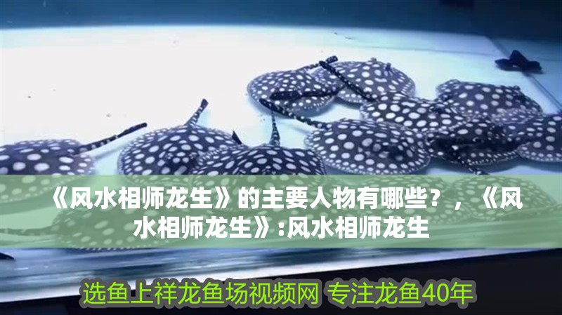 《風(fēng)水相師龍生》的主要人物有哪些？，《風(fēng)水相師龍生》:風(fēng)水相師龍生