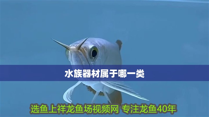 水族器材屬于哪一類