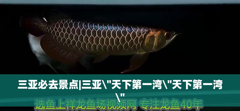 三亞必去景點|三亞 三亞必去景點|三亞\