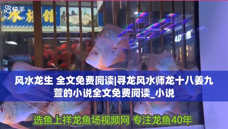 風水龍生 全文免費閱讀|尋龍風水師龍十八姜九萱的小說全文免費閱讀_小說