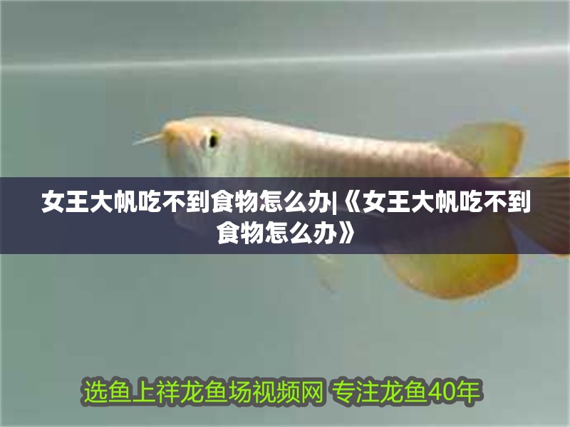 女王大帆吃不到食物怎么辦|《女王大帆吃不到食物怎么辦》