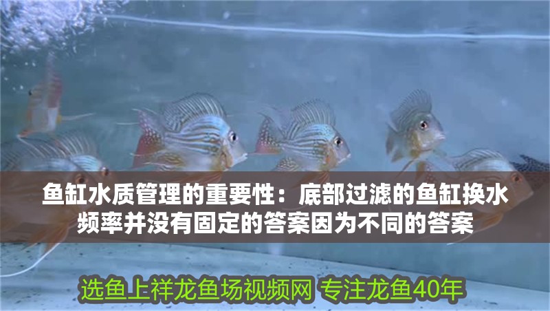 魚缸水質管理的重要性：底部過濾的魚缸換水頻率并沒有固定的答案因為不同的答案 魚缸水質管理的重要性：底部過濾的魚缸換水頻率并沒有固定的答案因為不同的答案 魚缸百科