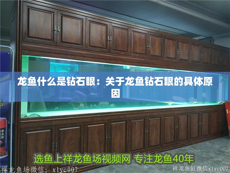 龍魚什么是鉆石眼：關于龍魚鉆石眼的具體原因