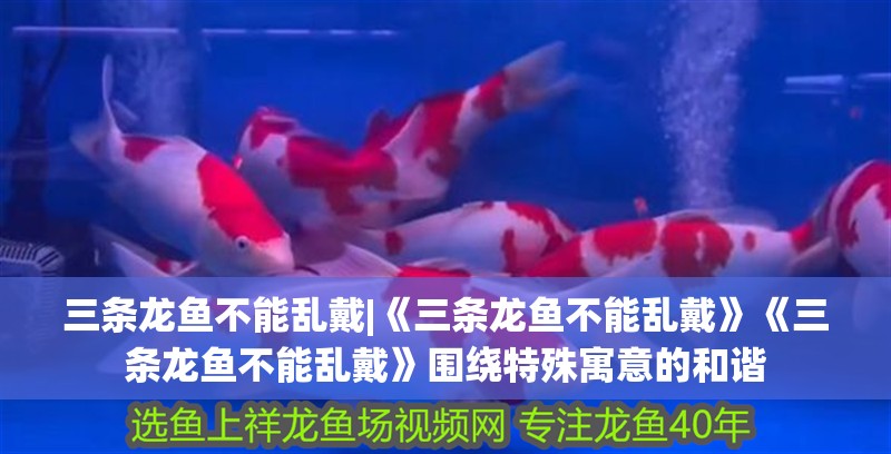 三條龍魚不能亂戴|《三條龍魚不能亂戴》《三條龍魚不能亂戴》圍繞特殊寓意的和諧
