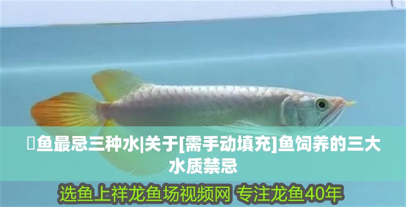魟魚最忌三種水|關(guān)于[需手動填充]魚飼養(yǎng)的三大水質(zhì)禁忌