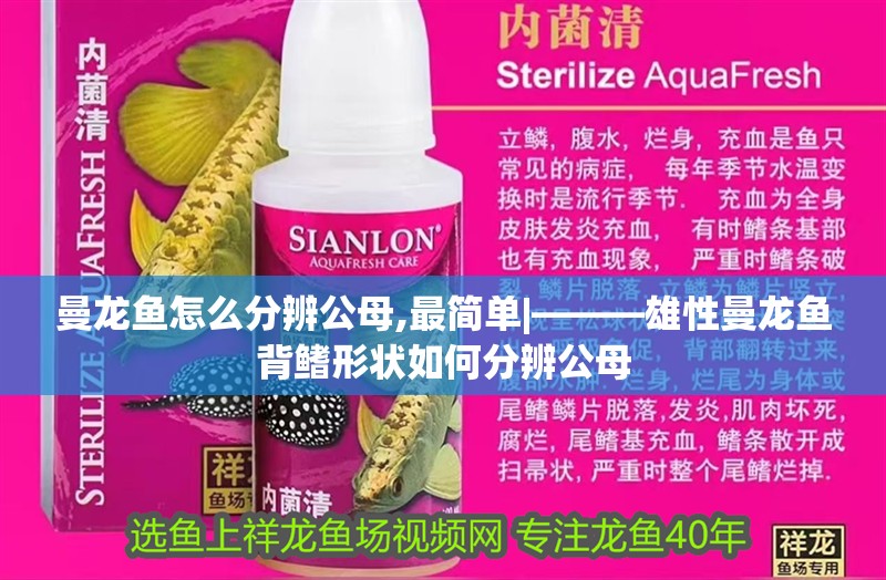 曼龍魚怎么分辨公母,最簡單|———雄性曼龍魚背鰭形狀如何分辨公母