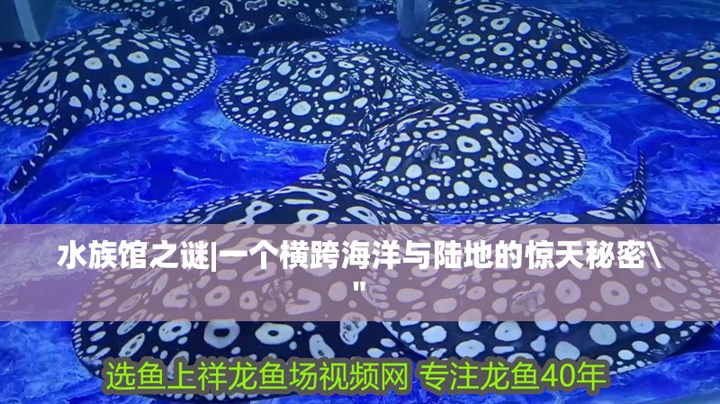 水族館之謎|一個橫跨海洋與陸地的驚天秘密\