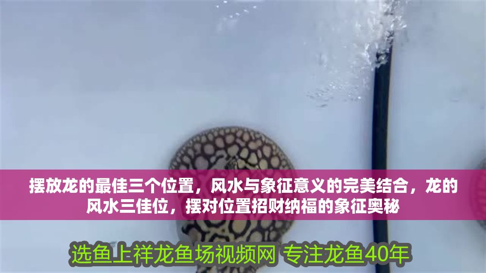 擺放龍的最佳三個位置，風水與象征意義的完美結合，龍的風水三佳位，擺對位置招財納福的象征奧秘