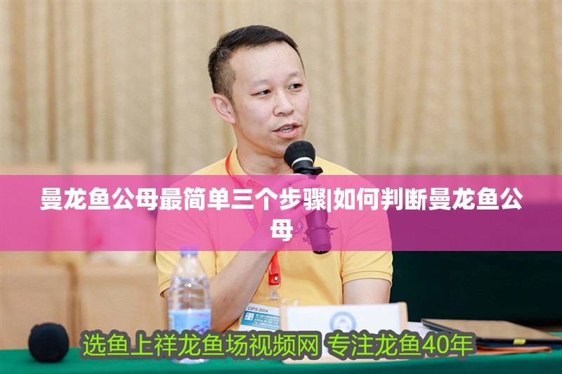 曼龍魚公母最簡單三個步驟|如何判斷曼龍魚公母