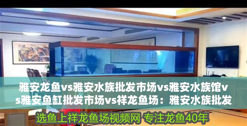 雅安龍魚vs雅安水族批發(fā)市場vs雅安水族館vs雅安魚缸批發(fā)市場vs祥龍魚場：雅安水族批發(fā)市場 雅安龍魚vs雅安水族批發(fā)市場vs雅安水族館vs雅安魚缸批發(fā)市場vs祥龍魚場：雅安水族批發(fā)市場 祥龍魚場各市分站 第2張