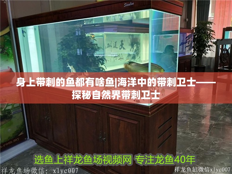 身上帶刺的魚都有啥魚|海洋中的帶刺衛士——探秘自然界帶刺衛士
