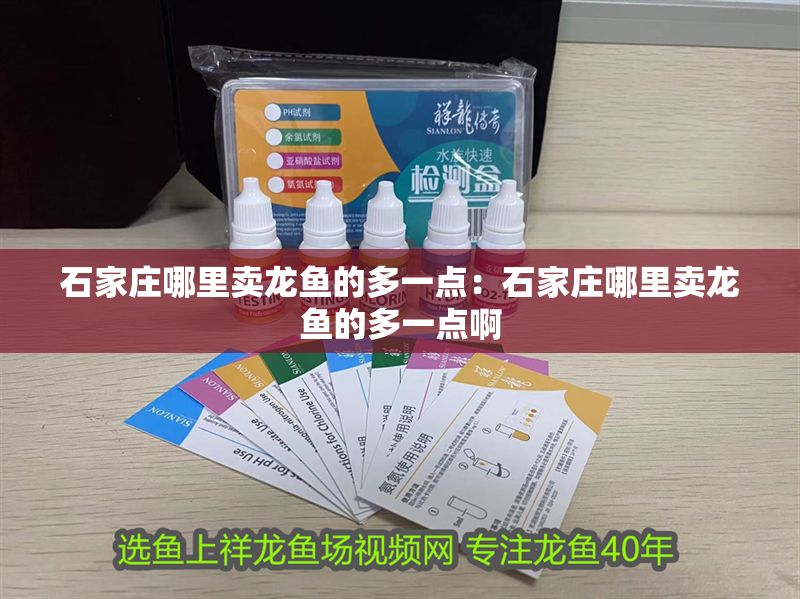 石家莊哪里賣龍魚的多一點：石家莊哪里賣龍魚的多一點啊