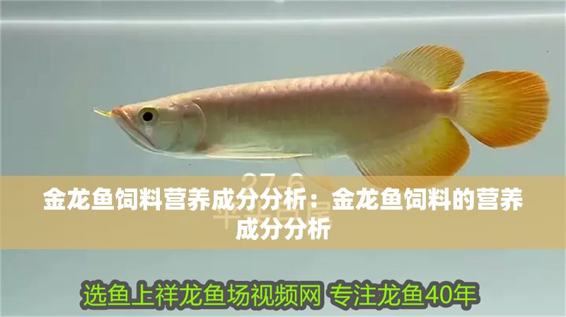 金龍魚飼料營養(yǎng)成分分析：金龍魚飼料的營養(yǎng)成分分析