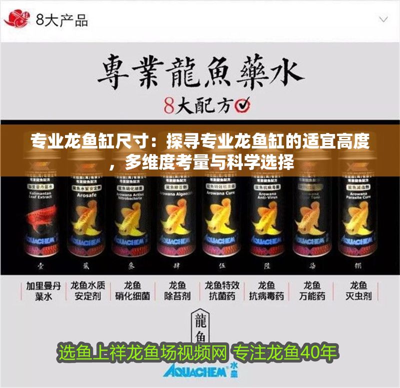 專業龍魚缸尺寸：探尋專業龍魚缸的適宜高度，多維度考量與科學選擇