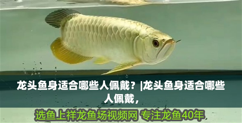 龍頭魚身適合哪些人佩戴？|龍頭魚身適合哪些人佩戴，