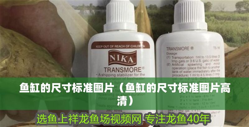 魚缸的尺寸標準圖片(魚缸的尺寸標準圖片高清) 元寶鳳凰魚百科 第1張 魚缸的尺寸標準圖片(魚缸的尺寸標準圖片高清) 魚缸的尺寸標準圖片(魚缸的尺寸標準圖片高清) 元寶鳳凰魚百科 第1張