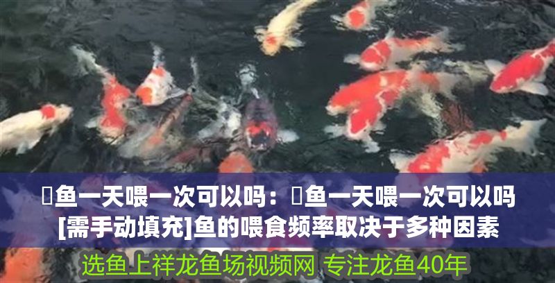 魟魚一天喂一次可以嗎：魟魚一天喂一次可以嗎[需手動填充]魚的喂食頻率取決于多種因素