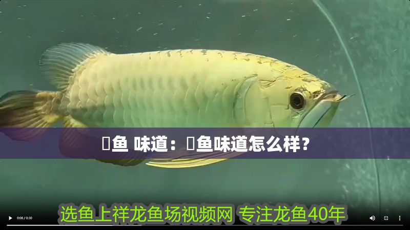 魟魚(yú) 味道：魟魚(yú)味道怎么樣？ 魟魚(yú) 味道：魟魚(yú)味道怎么樣？ 魟魚(yú)百科 第2張