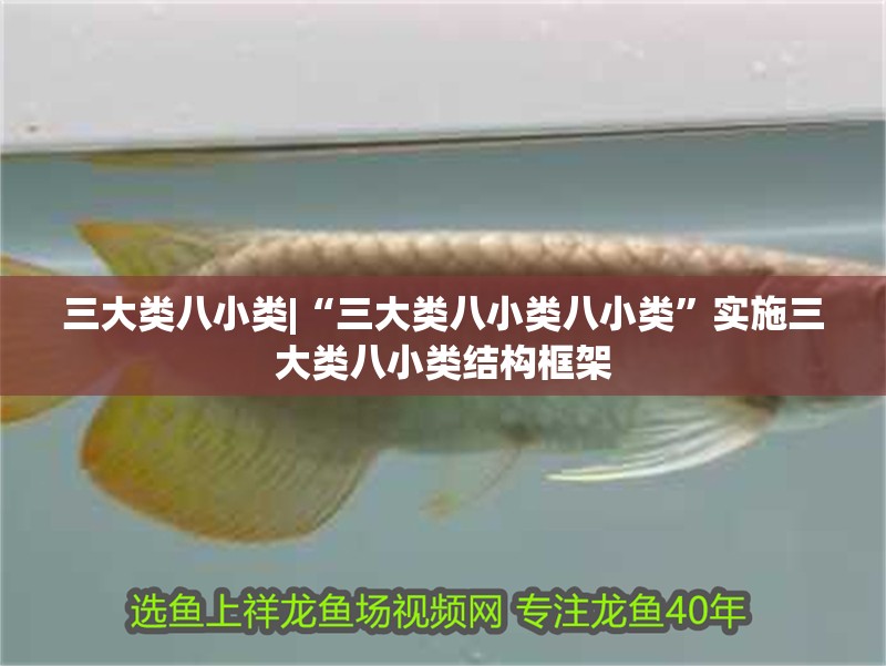 三大類八小類|“三大類八小類八小類”實(shí)施三大類八小類結(jié)構(gòu)框架