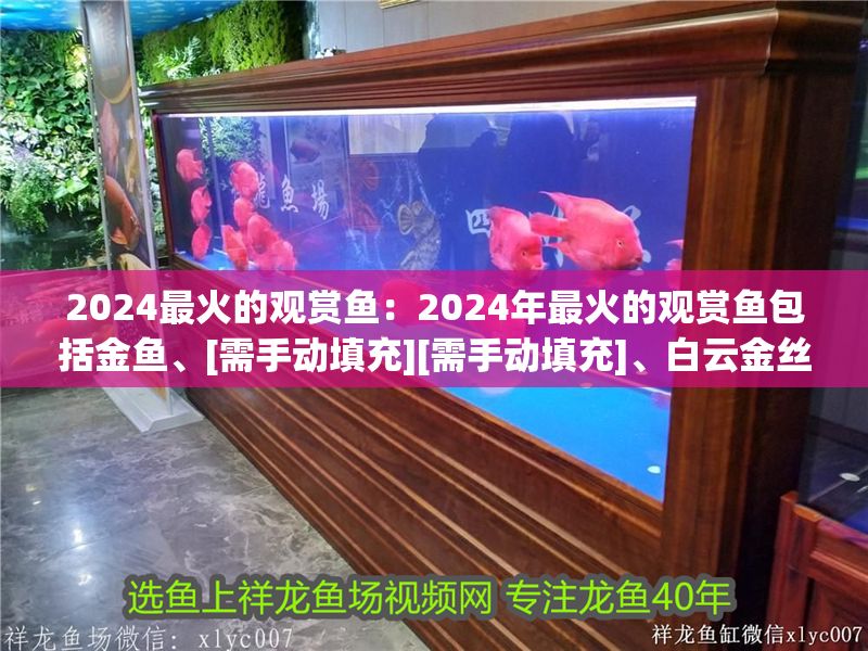 2024最火的觀賞魚：2024年最火的觀賞魚包括金魚、[需手動(dòng)填充][需手動(dòng)填充]、白云金絲和觀背青鳉等