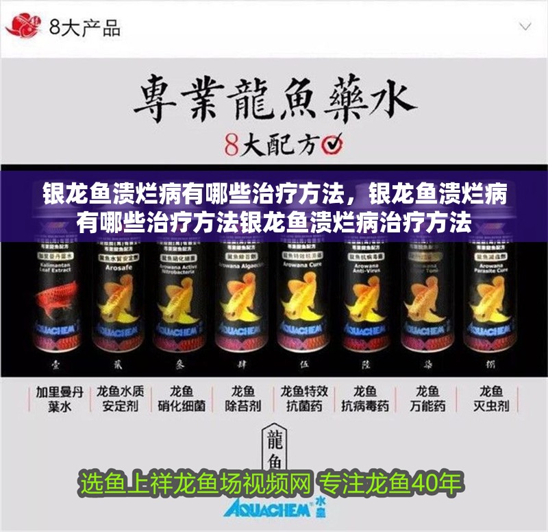 銀龍魚潰爛病有哪些治療方法，銀龍魚潰爛病有哪些治療方法銀龍魚潰爛病治療方法