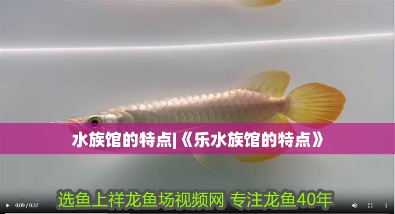 水族館的特點|《樂水族館的特點》
