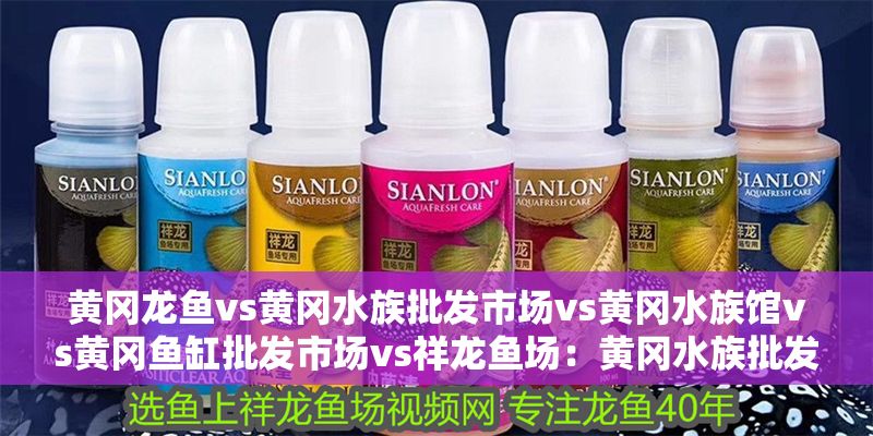 黃岡龍魚vs黃岡水族批發市場vs黃岡水族館vs黃岡魚缸批發市場vs祥龍魚場：黃岡水族批發市場