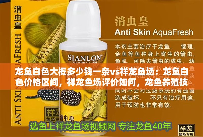 龍魚白色大概多少錢一條vs祥龍魚場：龍魚白色價格區間，祥龍魚場評價如何，龍魚養殖技巧分享