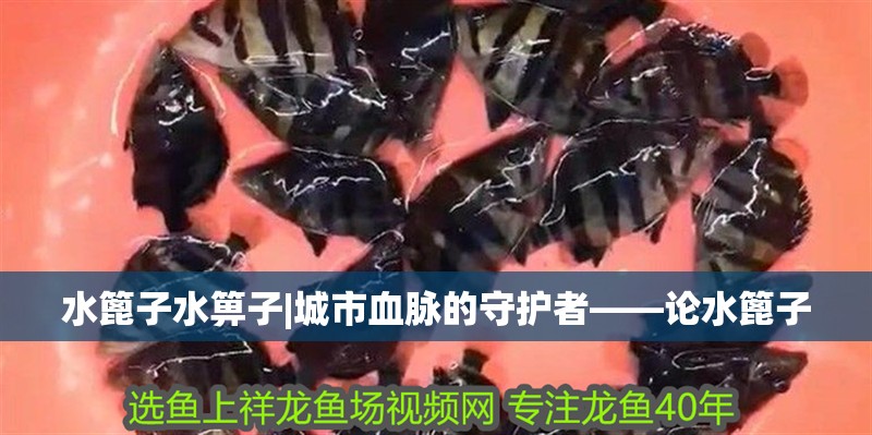 水篦子水箅子|城市血脈的守護者——論水篦子