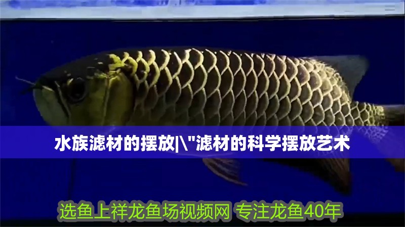 水族濾材的擺放| 水族濾材的擺放|\