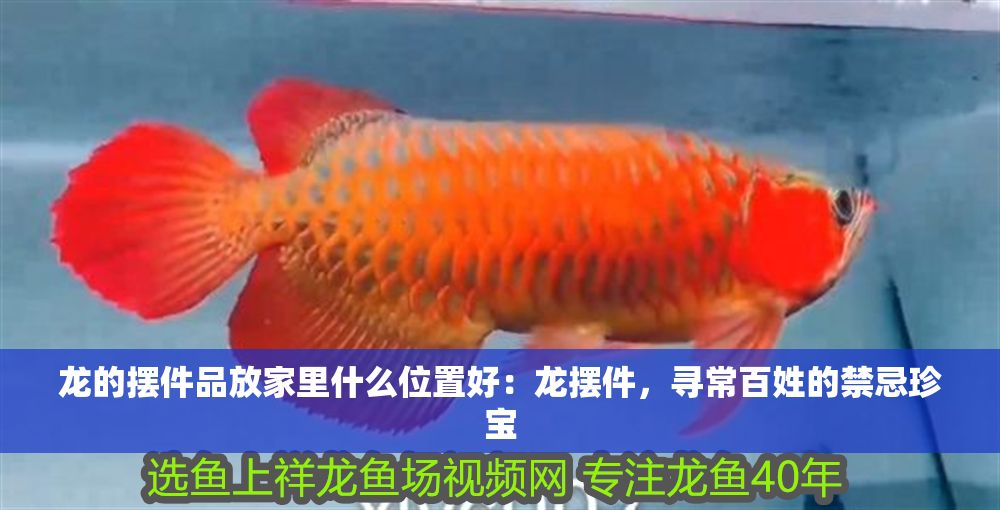 詳細閱讀:龍的擺件品放家里什么位置好:龍擺件,尋常百姓的禁忌珍寶 龍的擺件品放家里什么位置好:龍擺件,尋常百姓的禁忌珍寶