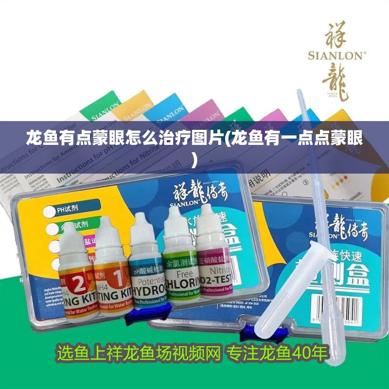 龍魚有點(diǎn)蒙眼怎么治療圖片(龍魚有一點(diǎn)點(diǎn)蒙眼)