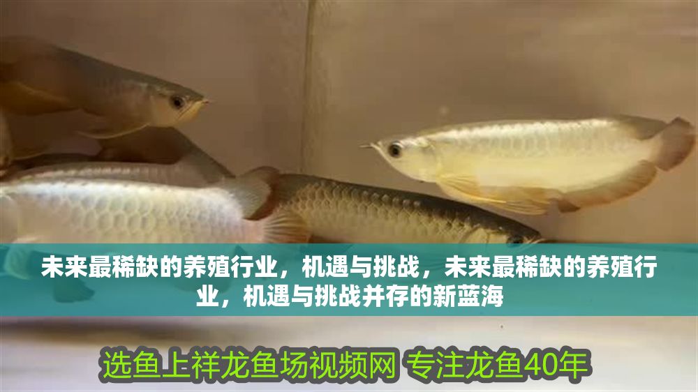 未來最稀缺的養殖行業，機遇與挑戰，未來最稀缺的養殖行業，機遇與挑戰并存的新藍海