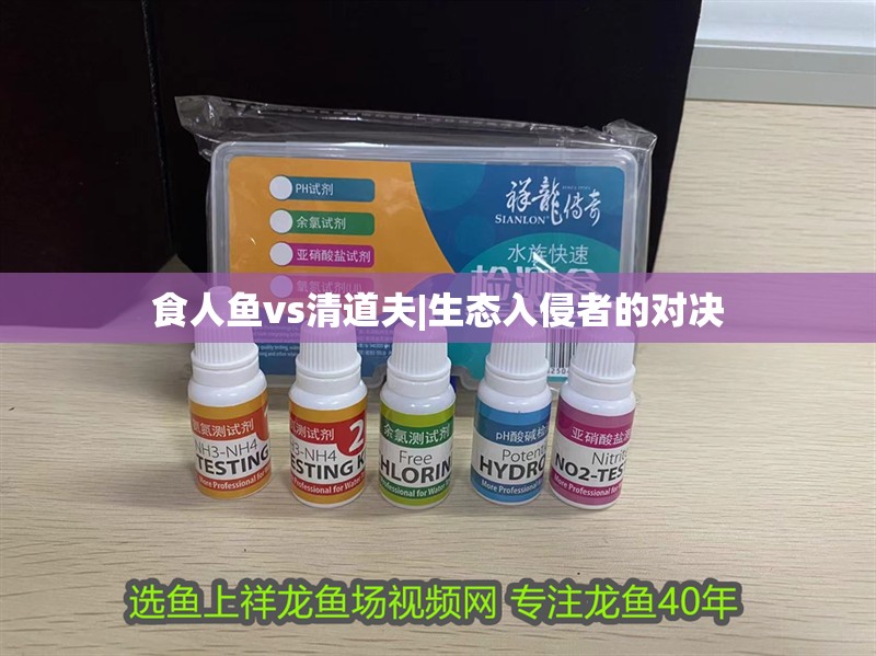 食人魚(yú)vs清道夫|生態(tài)入侵者的對(duì)決