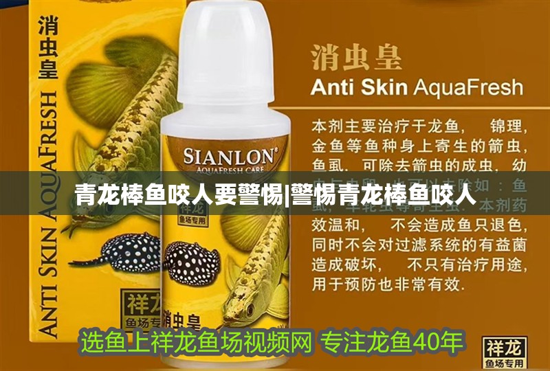 青龍棒魚咬人要警惕|警惕青龍棒魚咬人