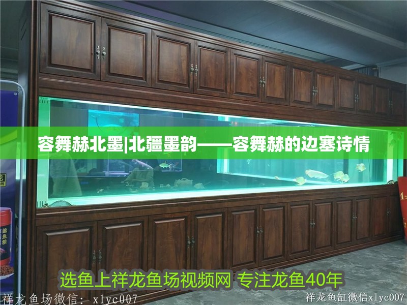 容舞赫北墨|北疆墨韻——容舞赫的邊塞詩(shī)情