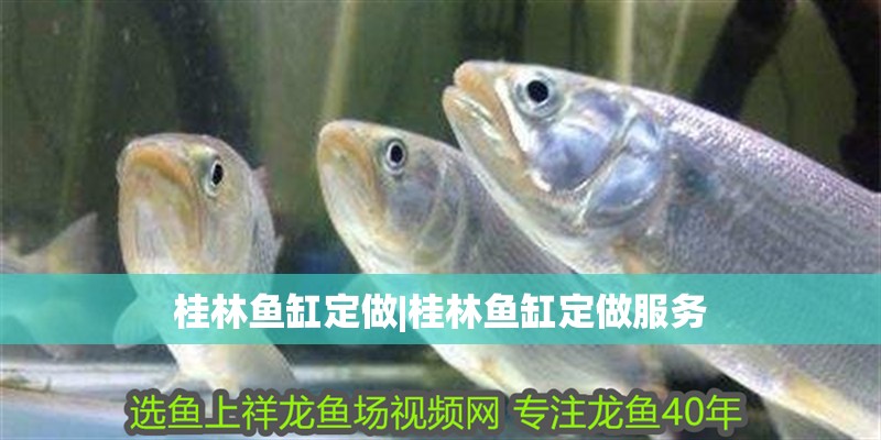 桂林魚缸定做|桂林魚缸定做服務