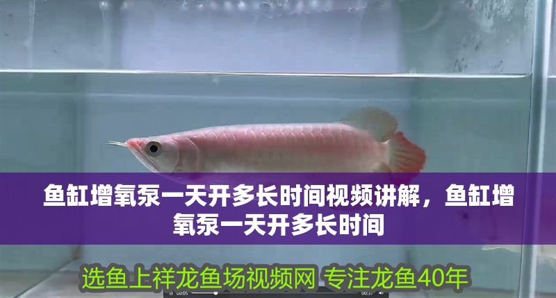 魚缸增氧泵一天開多長時間視頻講解，魚缸增氧泵一天開多長時間