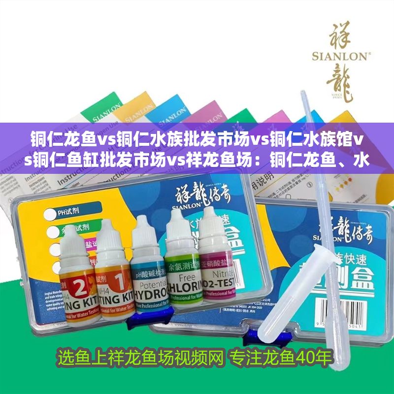 銅仁龍魚vs銅仁水族批發市場vs銅仁水族館vs銅仁魚缸批發市場vs祥龍魚場：銅仁龍魚、水族產品或魚缸批發市場