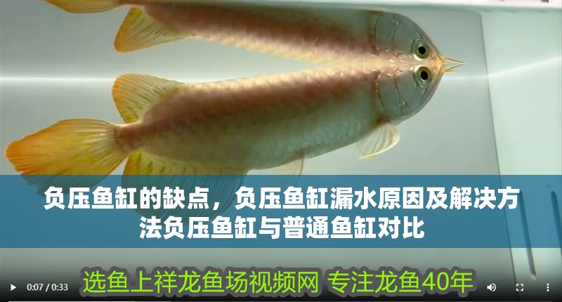 負壓魚缸的缺點，負壓魚缸漏水原因及解決方法負壓魚缸與普通魚缸對比