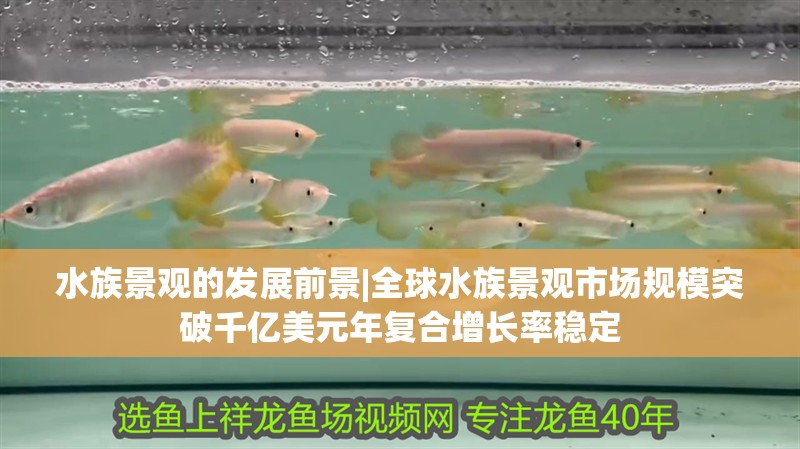 水族景觀的發(fā)展前景|全球水族景觀市場規(guī)模突破千億美元年復(fù)合增長率穩(wěn)定