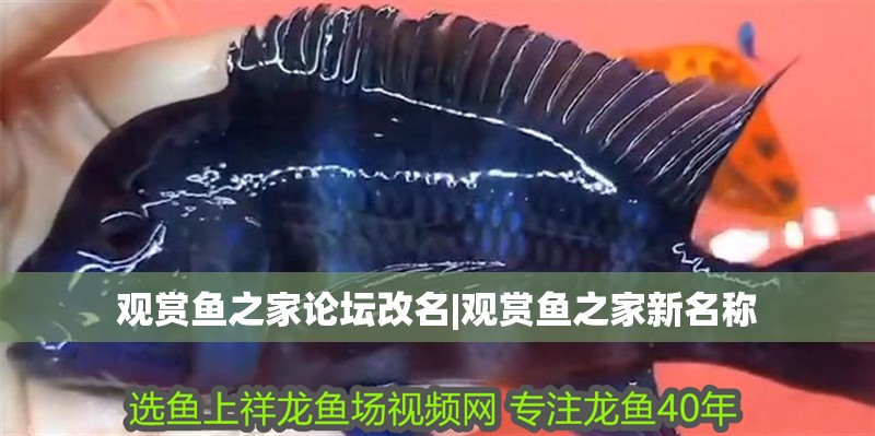觀賞魚之家論壇改名|觀賞魚之家新名稱